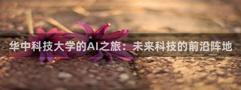 华中科技大学的AI之旅：未来科技的前沿阵地
