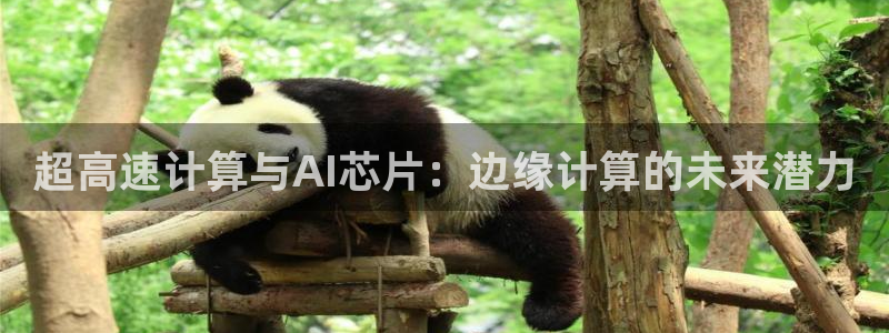 超高速计算与AI芯片：边缘计算的未来潜力