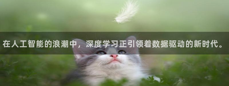 在人工智能的浪潮中，深度学习正引领着数据驱动的新时代。