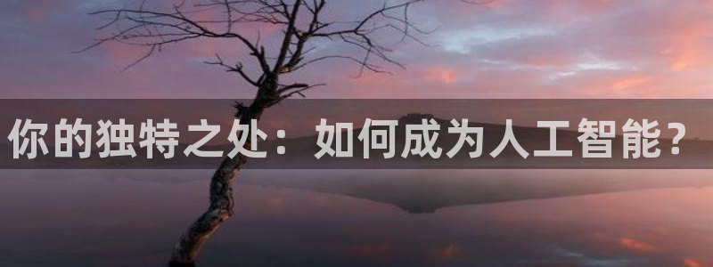 你的独特之处：如何成为人工智能？