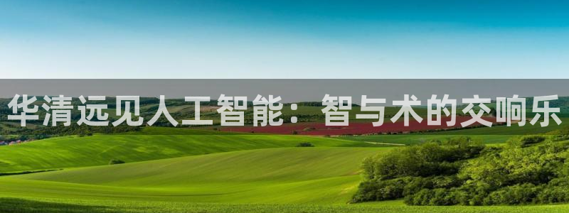 华清远见人工智能：智与术的交响乐