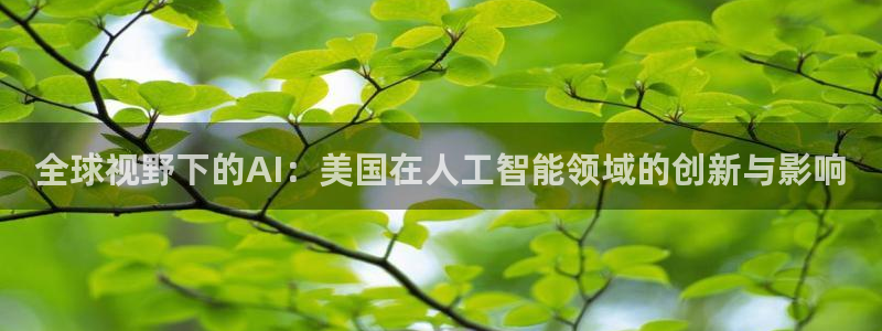 全球视野下的AI：美国在人工智能领域的创新与影响
