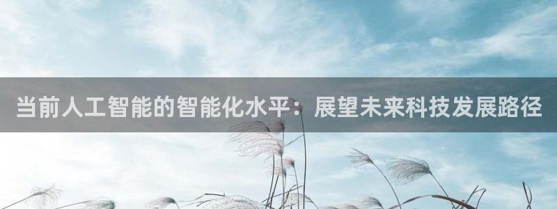 当前人工智能的智能化水平：展望未来科技发展路径