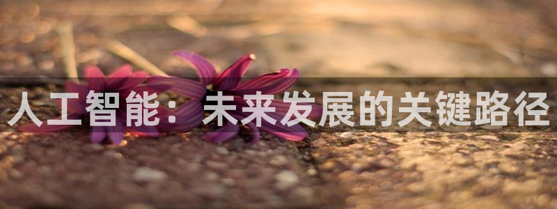 人工智能：未来发展的关键路径