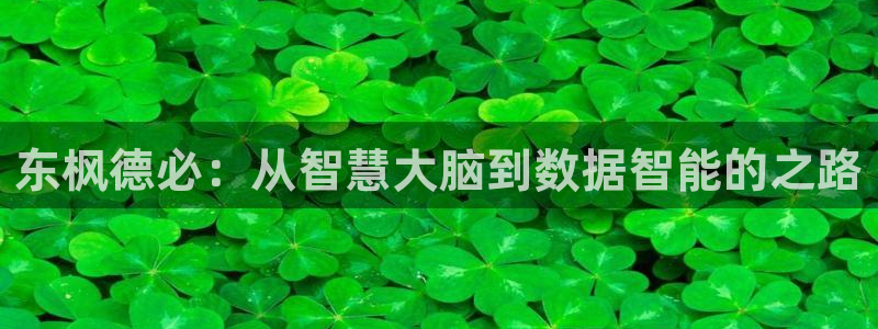 东枫德必：从智慧大脑到数据智能的之路