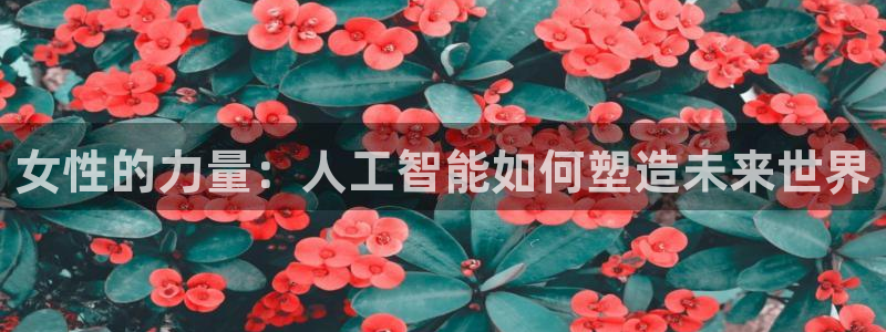 女性的力量：人工智能如何塑造未来世界