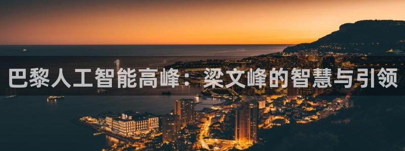 巴黎人工智能高峰：梁文峰的智慧与引领