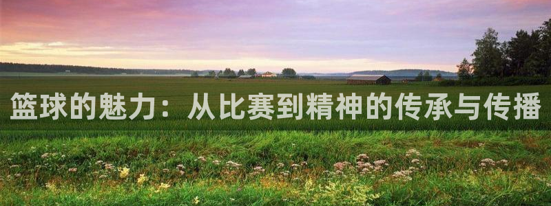 篮球的魅力：从比赛到精神的传承与传播