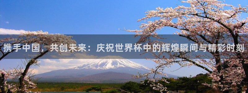携手中国，共创未来：庆祝世界杯中的辉煌瞬间与精彩时刻