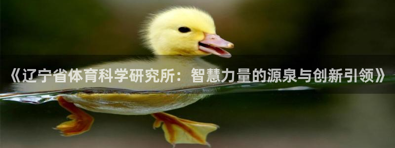 《辽宁省体育科学研究所：智慧力量的源泉与创新引领》