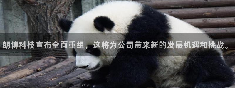 朗博科技宣布全面重组，这将为公司带来新的发展机遇和挑战。