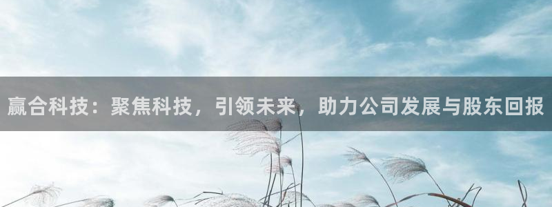 赢合科技：聚焦科技，引领未来，助力公司发展与股东回报