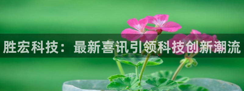 胜宏科技：最新喜讯引领科技创新潮流
