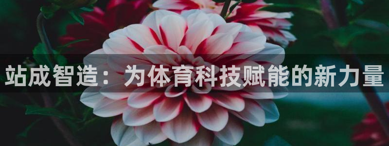 站成智造：为体育科技赋能的新力量
