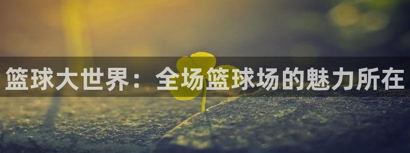 篮球大世界：全场篮球场的魅力所在
