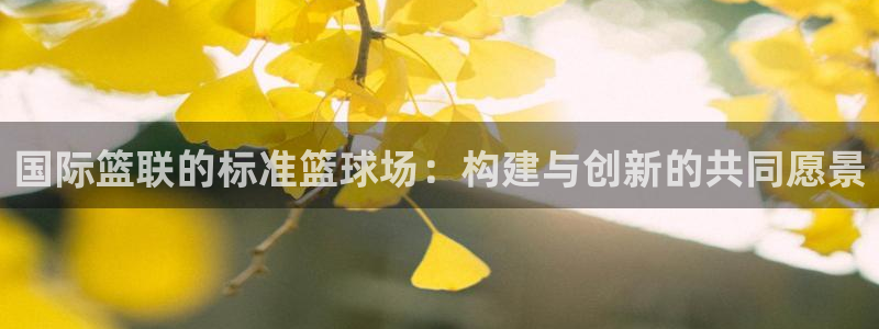 国际篮联的标准篮球场：构建与创新的共同愿景