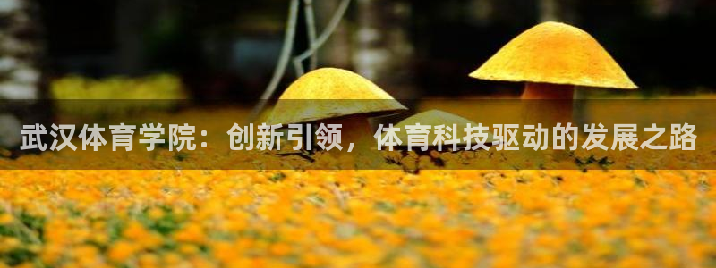 武汉体育学院：创新引领，体育科技驱动的发展之路
