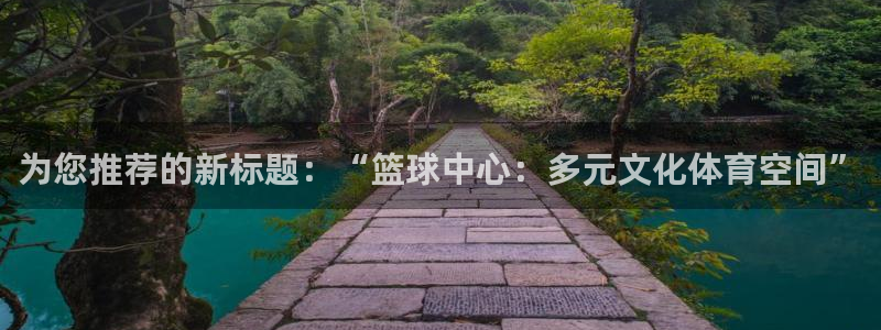 为您推荐的新标题：“篮球中心：多元文化体育空间”