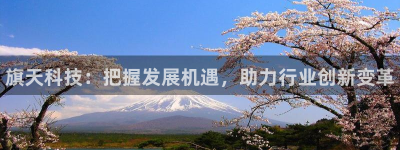旗天科技：把握发展机遇，助力行业创新变革