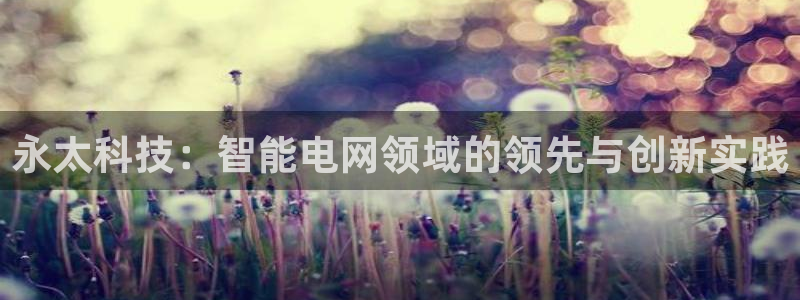 永太科技：智能电网领域的领先与创新实践