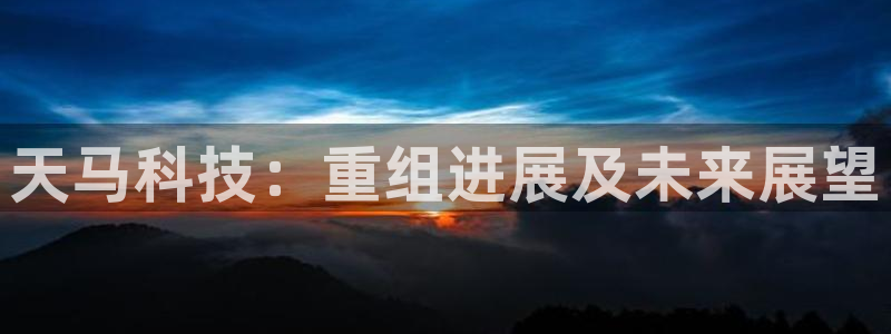 天马科技：重组进展及未来展望