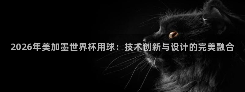 2026年美加墨世界杯用球：技术创新与设计的完美融合