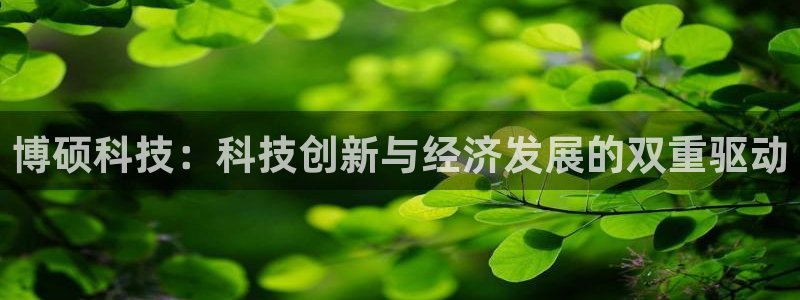 博硕科技：科技创新与经济发展的双重驱动