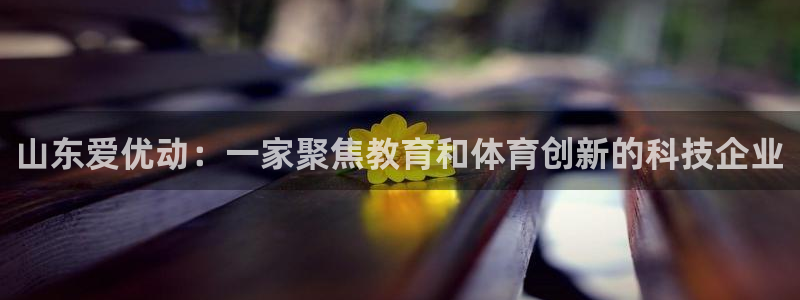 山东爱优动：一家聚焦教育和体育创新的科技企业