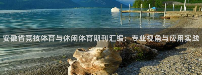 安徽省竞技体育与休闲体育期刊汇编：专业视角与应用实践