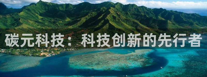 碳元科技：科技创新的先行者