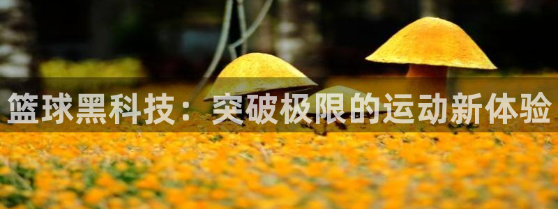 篮球黑科技：突破极限的运动新体验