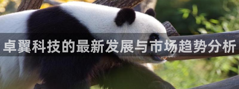 卓翼科技的最新发展与市场趋势分析