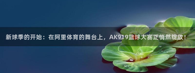 新球季的开始：在阿里体育的舞台上，AK919篮球大赛正悄然绽放！