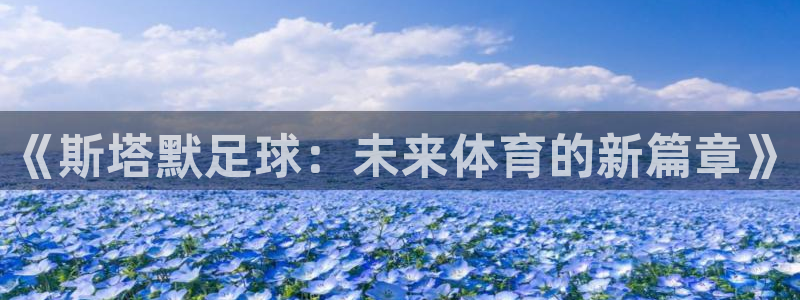 《斯塔默足球：未来体育的新篇章》